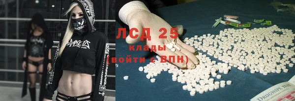 твердый Краснослободск