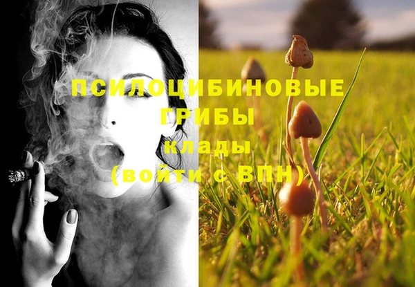 меф Дмитриев