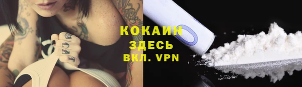 меф Дмитриев