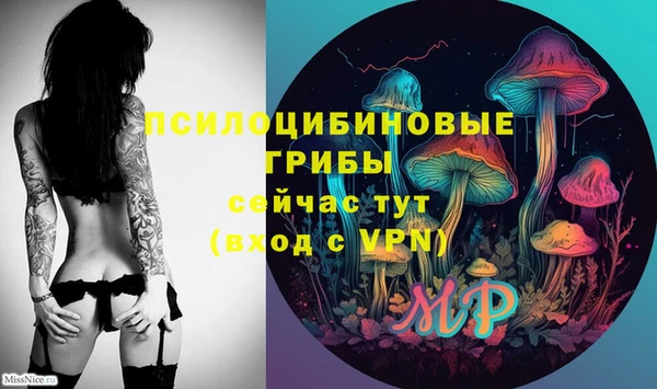 эйфоретик Дмитровск